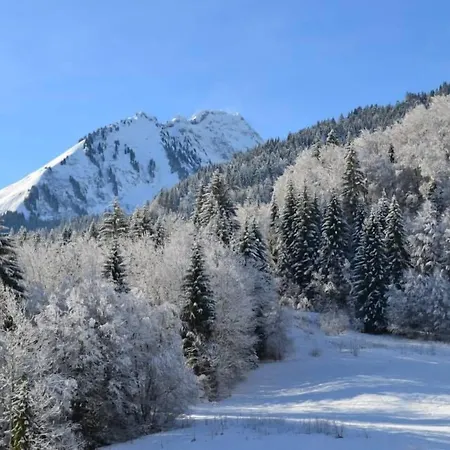 Les Touristes 2* Abondance